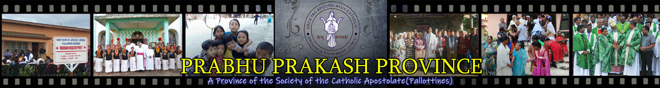 Nagpur Pallottine Society